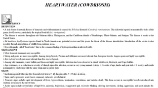 Blackwell's 5 Minute Veterinary Consult - Ruminant