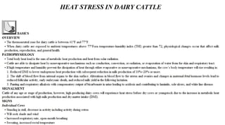 Blackwell's 5 Minute Veterinary Consult - Ruminant