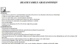 Blackwell's 5 Minute Veterinary Consult - Ruminant