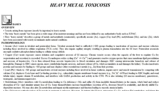 Blackwell's 5 Minute Veterinary Consult - Ruminant