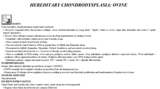 Blackwell's 5 Minute Veterinary Consult - Ruminant