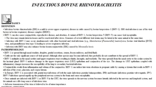 Blackwell's 5 Minute Veterinary Consult - Ruminant