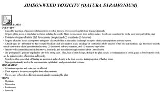 Blackwell's 5 Minute Veterinary Consult - Ruminant