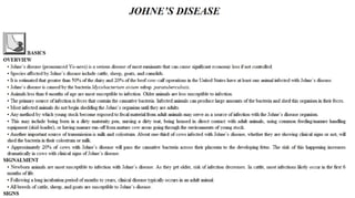 Blackwell's 5 Minute Veterinary Consult - Ruminant