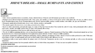 Blackwell's 5 Minute Veterinary Consult - Ruminant