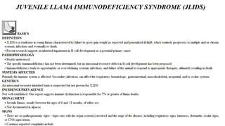 Blackwell's 5 Minute Veterinary Consult - Ruminant