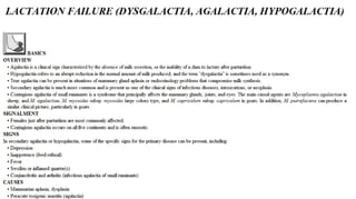 Blackwell's 5 Minute Veterinary Consult - Ruminant