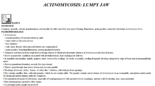 Blackwell's 5 Minute Veterinary Consult - Ruminant