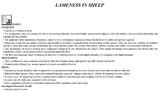 Blackwell's 5 Minute Veterinary Consult - Ruminant