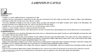 Blackwell's 5 Minute Veterinary Consult - Ruminant