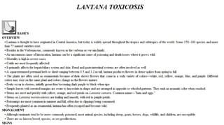 Blackwell's 5 Minute Veterinary Consult - Ruminant