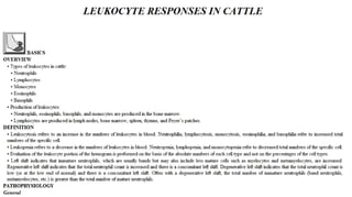 Blackwell's 5 Minute Veterinary Consult - Ruminant