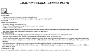 Blackwell's 5 Minute Veterinary Consult - Ruminant