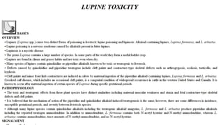 Blackwell's 5 Minute Veterinary Consult - Ruminant