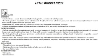 Blackwell's 5 Minute Veterinary Consult - Ruminant