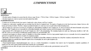 Blackwell's 5 Minute Veterinary Consult - Ruminant