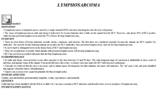 Blackwell's 5 Minute Veterinary Consult - Ruminant