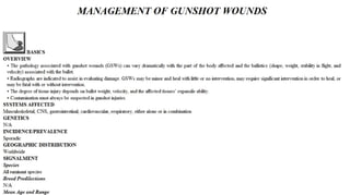 Blackwell's 5 Minute Veterinary Consult - Ruminant