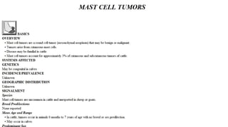 Blackwell's 5 Minute Veterinary Consult - Ruminant