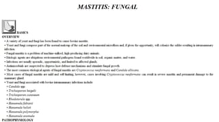 Blackwell's 5 Minute Veterinary Consult - Ruminant