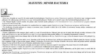 Blackwell's 5 Minute Veterinary Consult - Ruminant