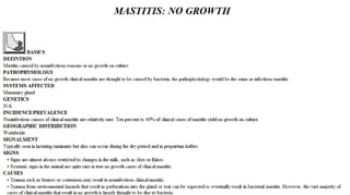 Blackwell's 5 Minute Veterinary Consult - Ruminant