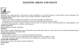 Blackwell's 5 Minute Veterinary Consult - Ruminant