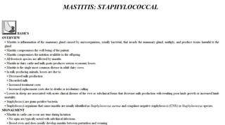 Blackwell's 5 Minute Veterinary Consult - Ruminant