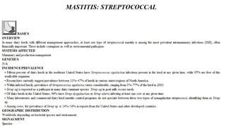 Blackwell's 5 Minute Veterinary Consult - Ruminant