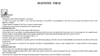 Blackwell's 5 Minute Veterinary Consult - Ruminant