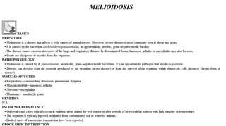 Blackwell's 5 Minute Veterinary Consult - Ruminant