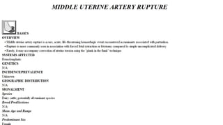 Blackwell's 5 Minute Veterinary Consult - Ruminant