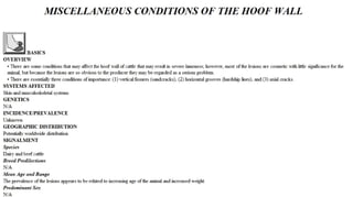 Blackwell's 5 Minute Veterinary Consult - Ruminant