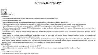 Blackwell's 5 Minute Veterinary Consult - Ruminant