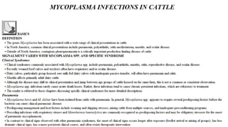 Blackwell's 5 Minute Veterinary Consult - Ruminant