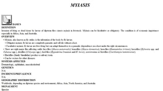 Blackwell's 5 Minute Veterinary Consult - Ruminant