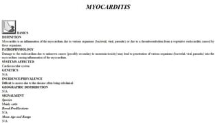 Blackwell's 5 Minute Veterinary Consult - Ruminant