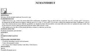 Blackwell's 5 Minute Veterinary Consult - Ruminant