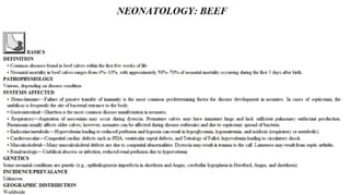 Blackwell's 5 Minute Veterinary Consult - Ruminant