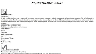 Blackwell's 5 Minute Veterinary Consult - Ruminant