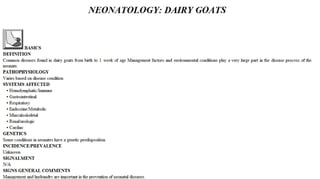 Blackwell's 5 Minute Veterinary Consult - Ruminant