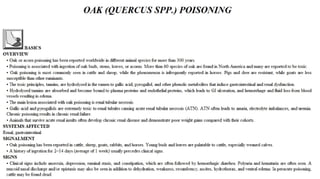 Blackwell's 5 Minute Veterinary Consult - Ruminant