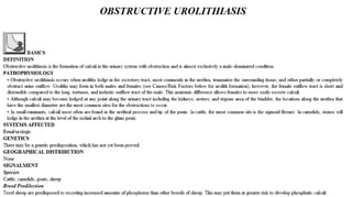 Blackwell's 5 Minute Veterinary Consult - Ruminant