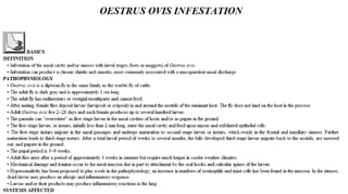 Blackwell's 5 Minute Veterinary Consult - Ruminant