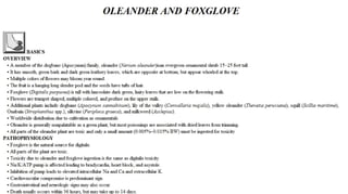 Blackwell's 5 Minute Veterinary Consult - Ruminant