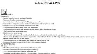 Blackwell's 5 Minute Veterinary Consult - Ruminant