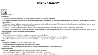 Blackwell's 5 Minute Veterinary Consult - Ruminant