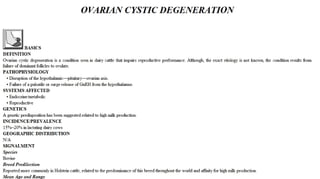 Blackwell's 5 Minute Veterinary Consult - Ruminant