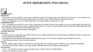 Blackwell's 5 Minute Veterinary Consult - Ruminant