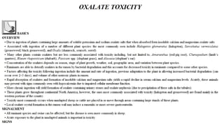 Blackwell's 5 Minute Veterinary Consult - Ruminant